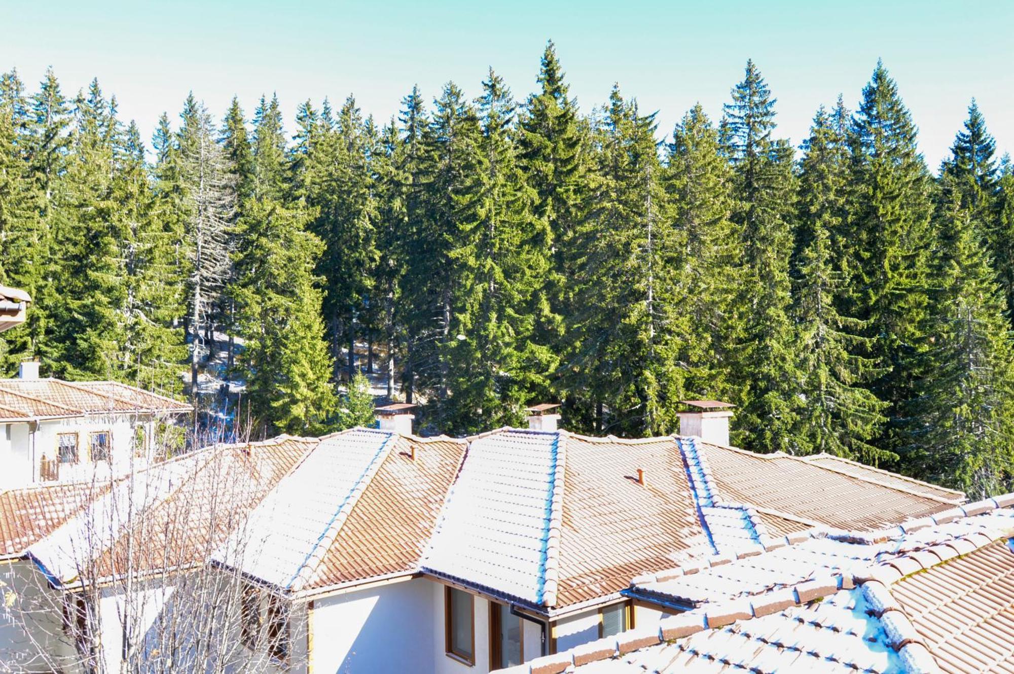 Myplace Pamporovo Апартаменти За Отдих Eksteriør billede