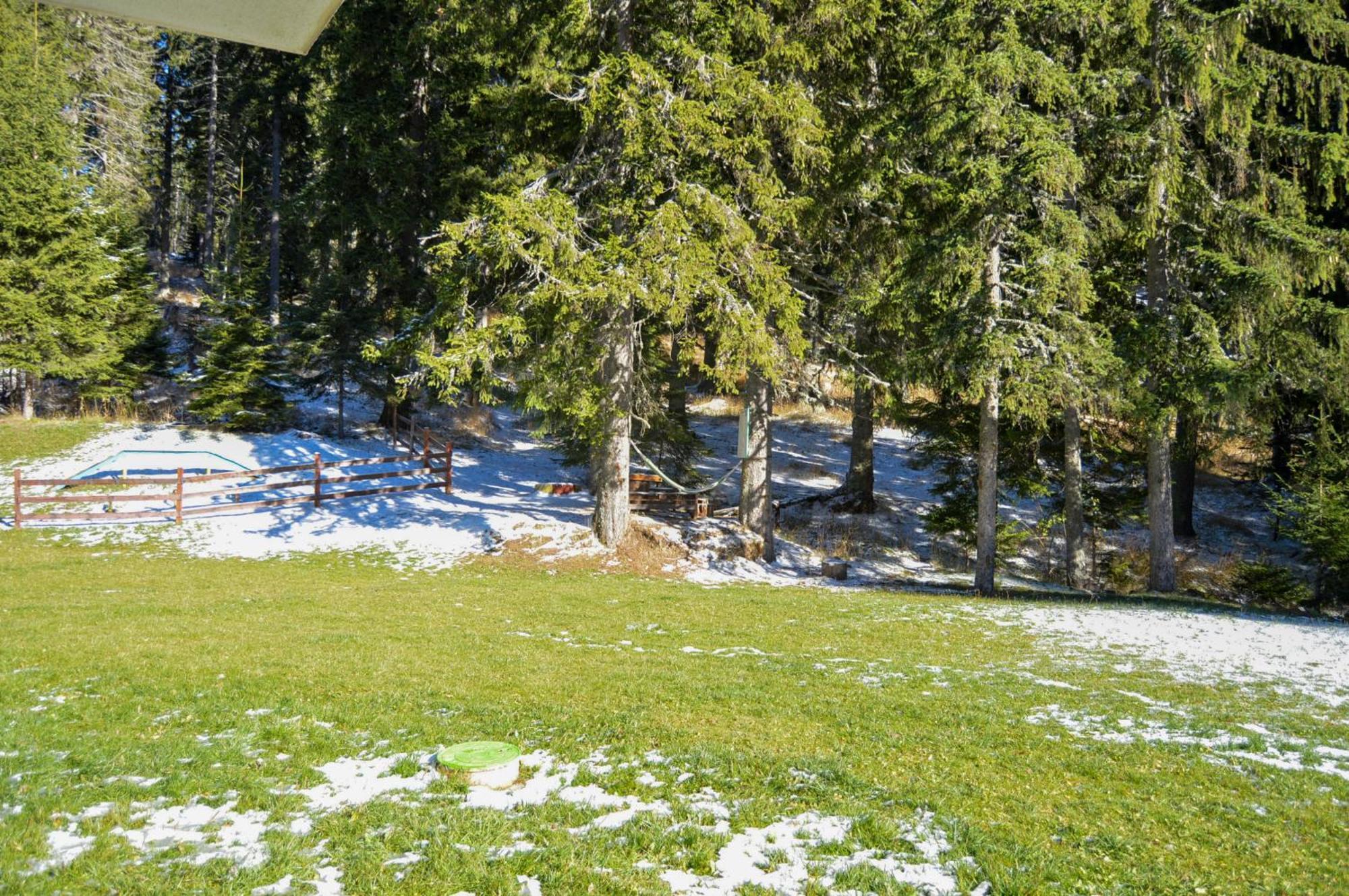 Myplace Pamporovo Апартаменти За Отдих Eksteriør billede