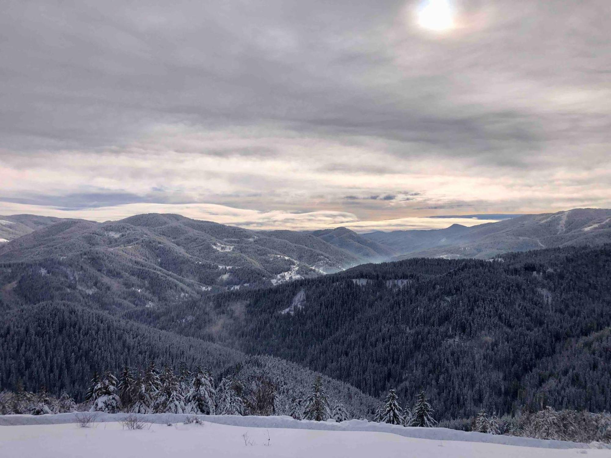 Myplace Pamporovo Апартаменти За Отдих Eksteriør billede